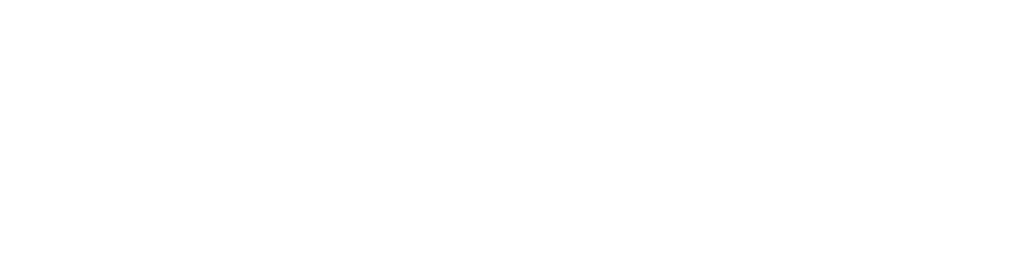 IT Founder Logo - Weiß